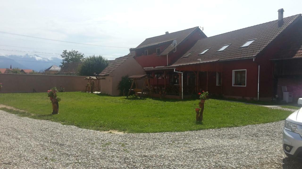 Casa Suzy & Roxy Apartment Arpasu de Jos ภายนอก รูปภาพ