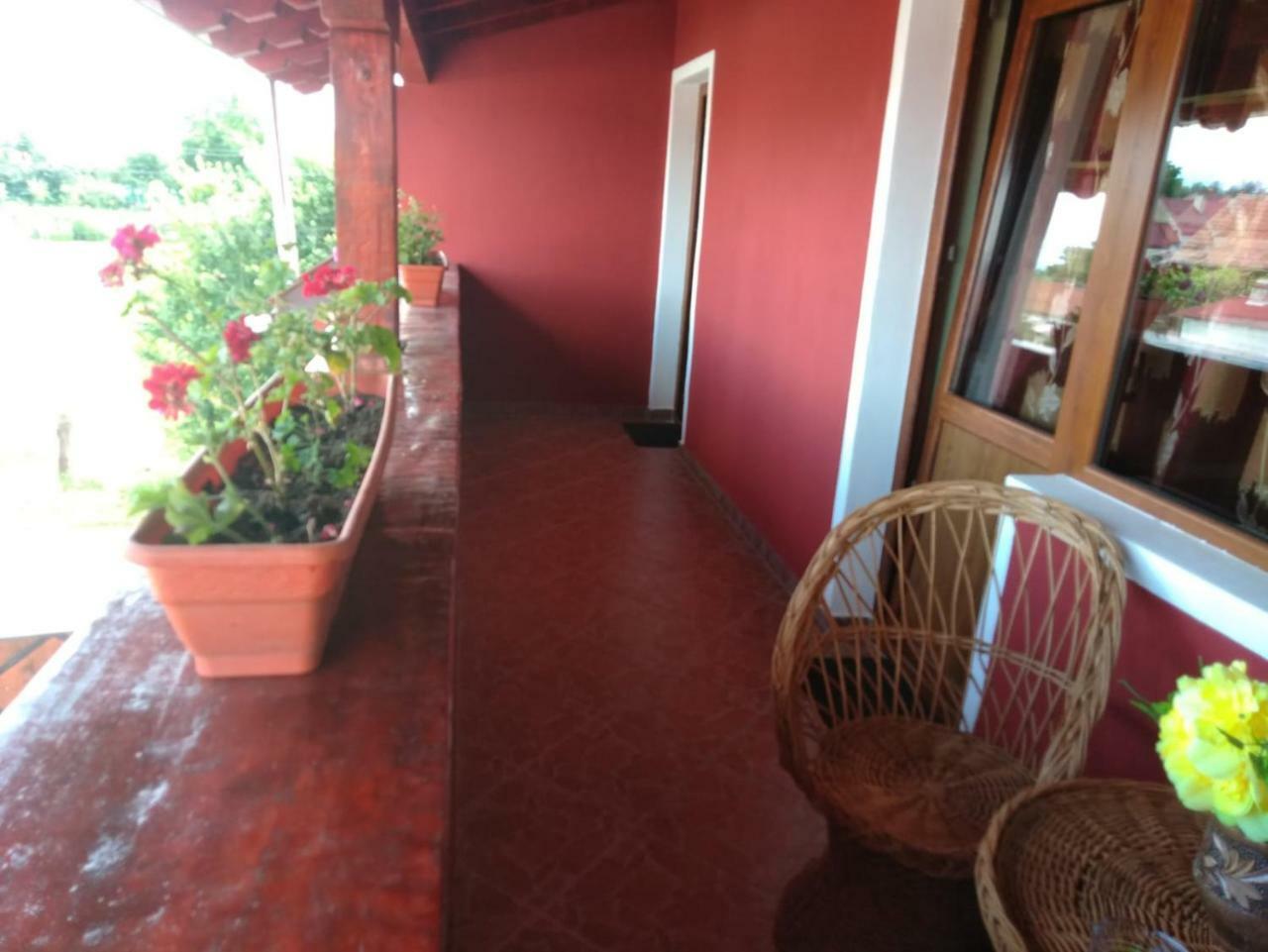 Casa Suzy & Roxy Apartment Arpasu de Jos ภายนอก รูปภาพ